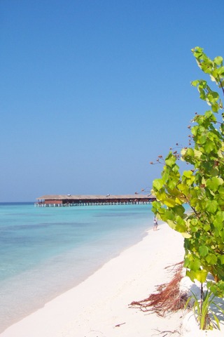 Maldives_1